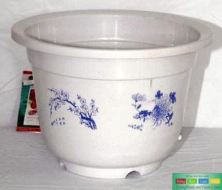 Chậu nhựa đường kính 30-40 cm