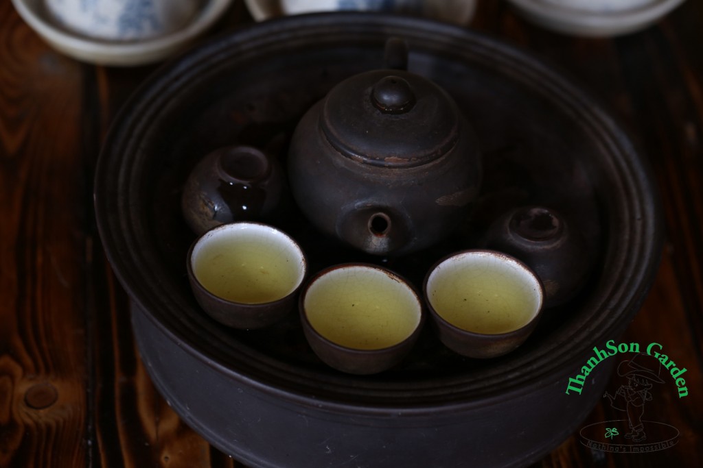 Trà sen quần ẩm