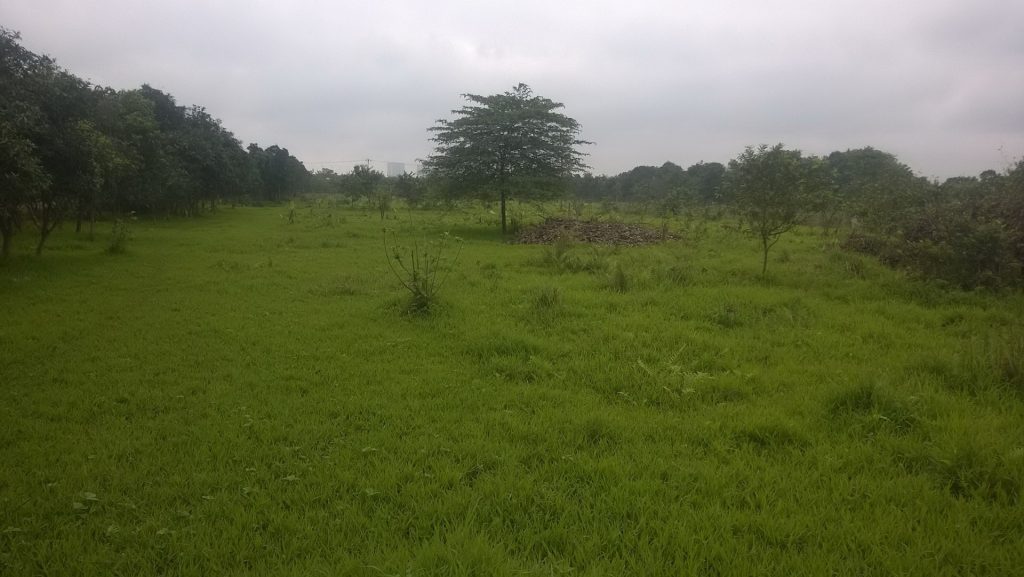 Mảnh đất thuê được sau khi quyết định rời phố ra sông